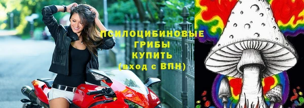 ешки Алексеевка