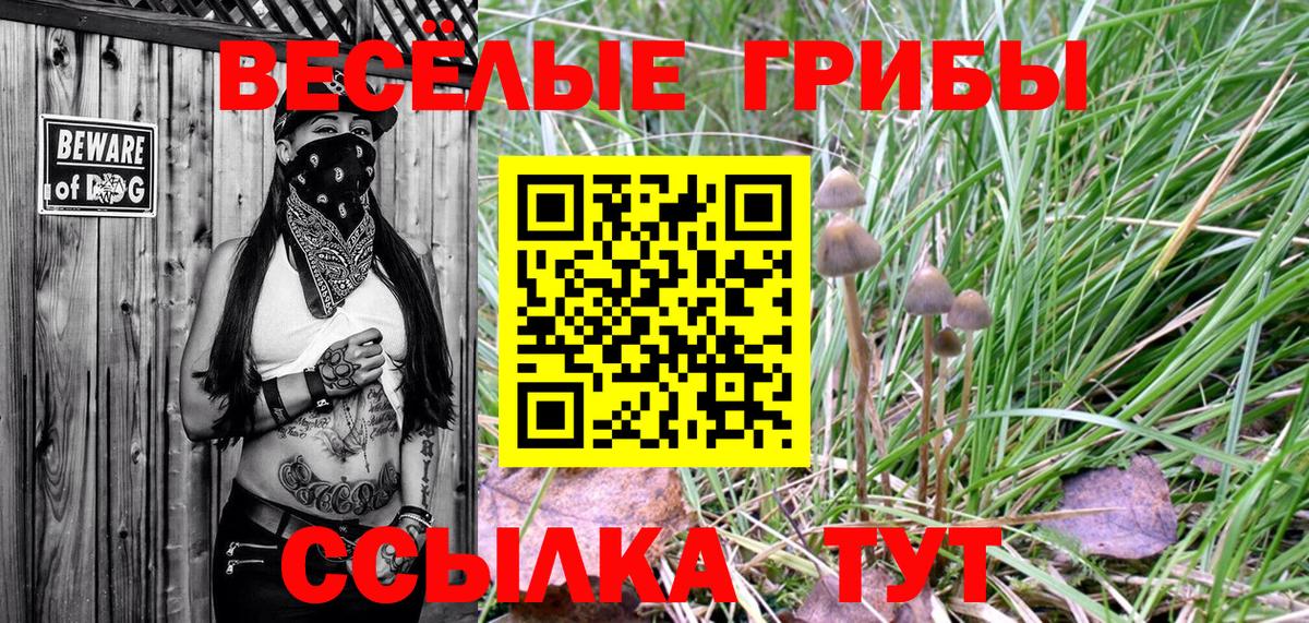 Галлюциногенные грибы Magic Shrooms  Галлюциногенные грибы Cubensis  Бийск  Вход с VPN 